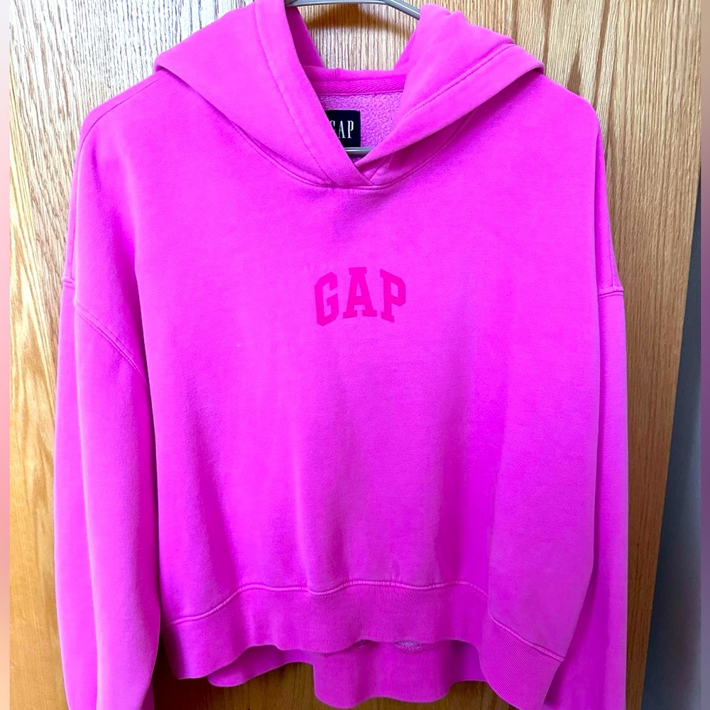 Pink Gap Hoodie